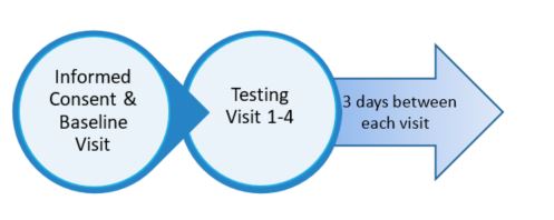 informed content and baseline visit to testing visit 1-4 to 3 days between each visit